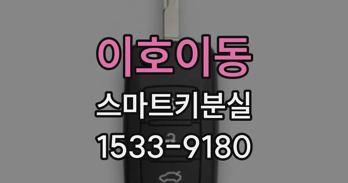 이호이동 스마트키분실