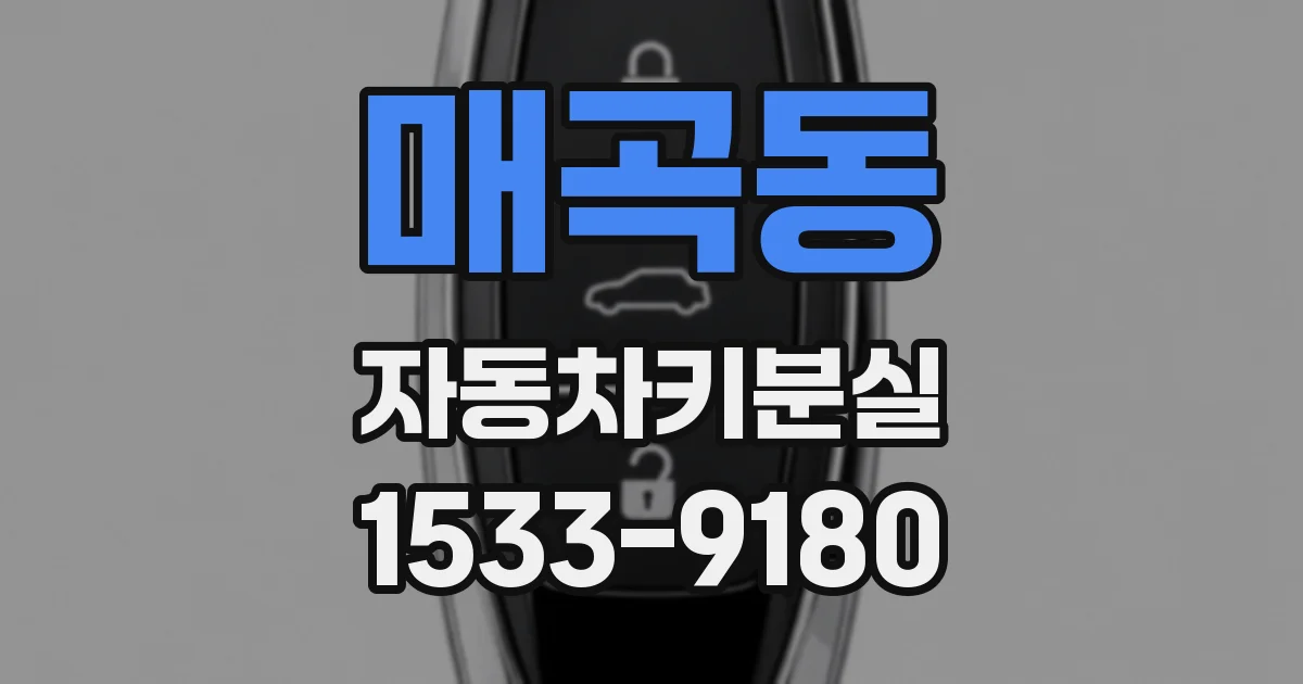 매곡동 자동차키분실