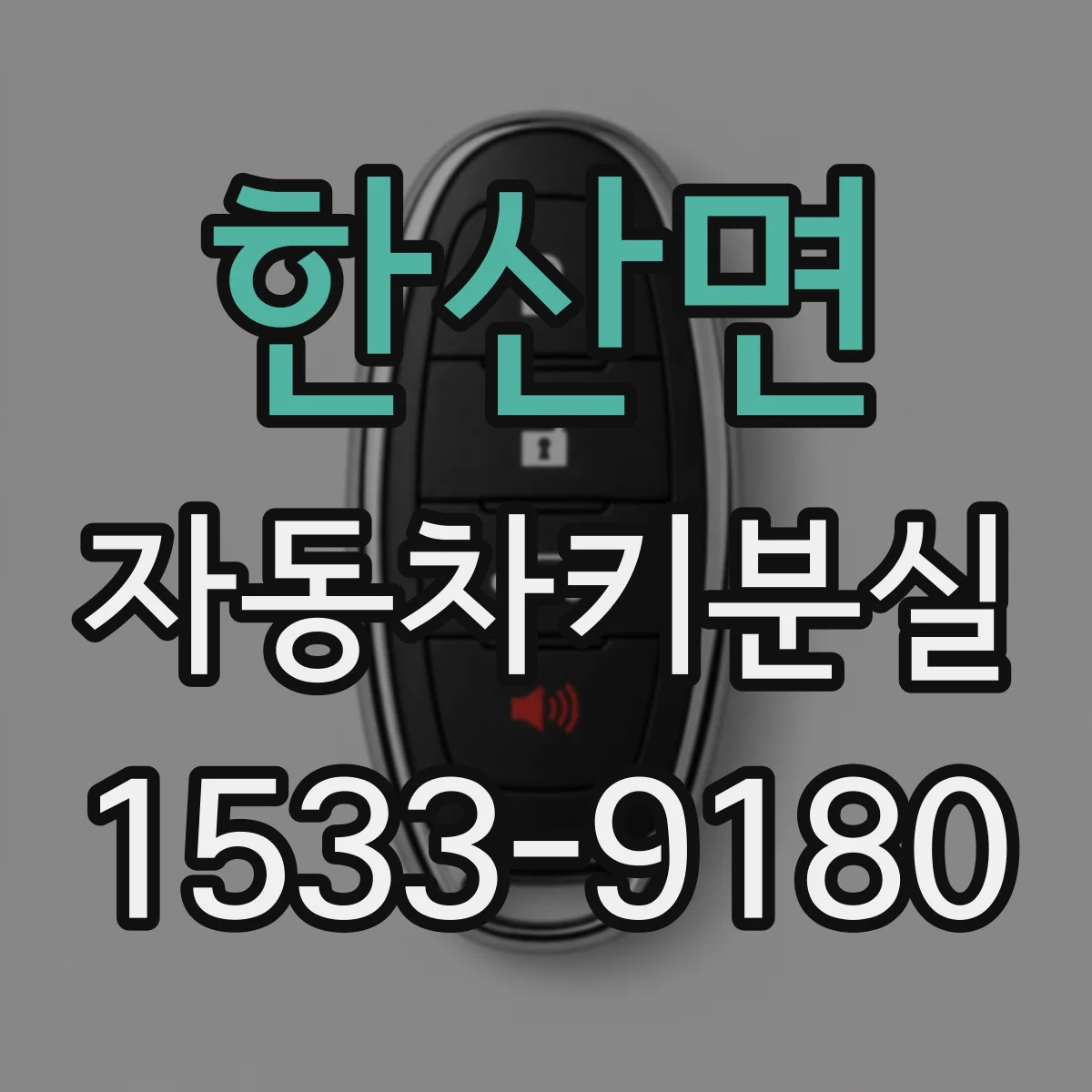 한산면 자동차키분실