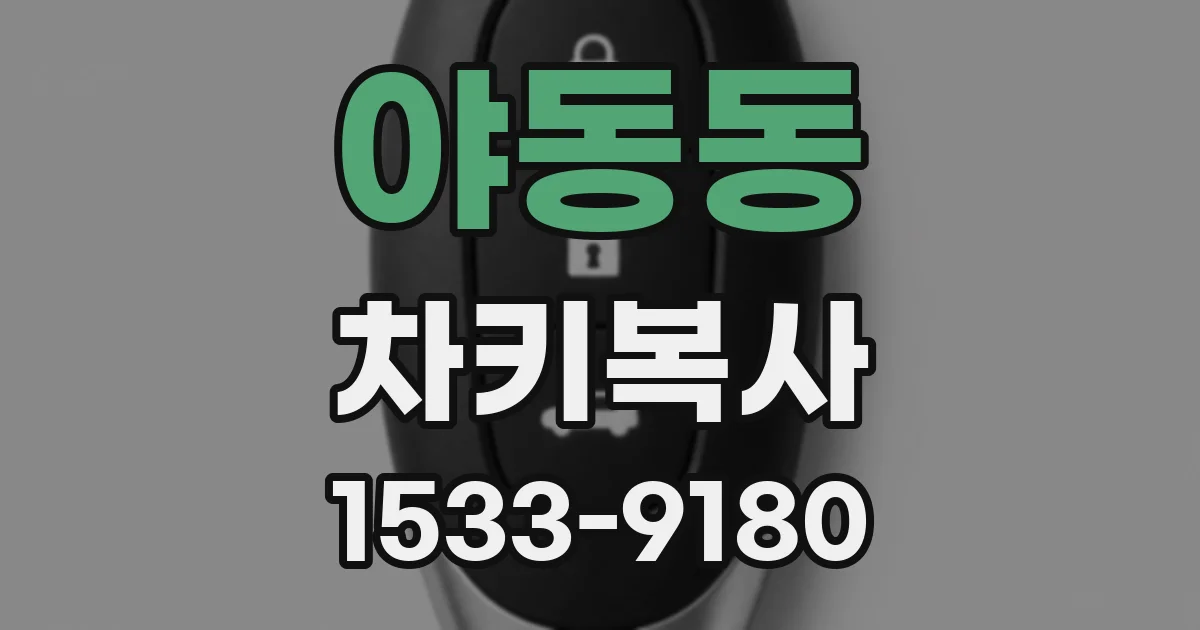 야동동 차키복사