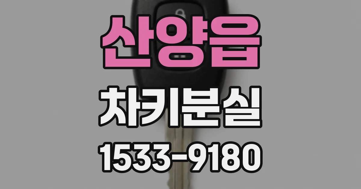 산양읍 차키분실