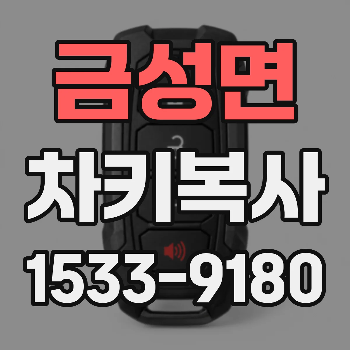 금성면 차키복사