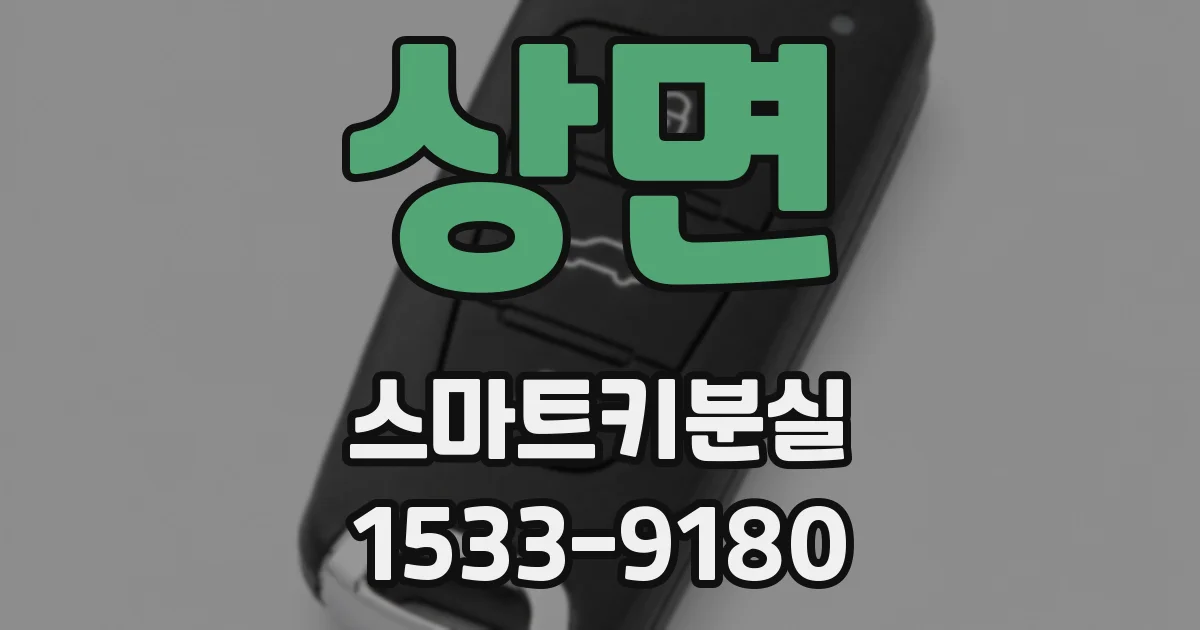 상면 스마트키분실