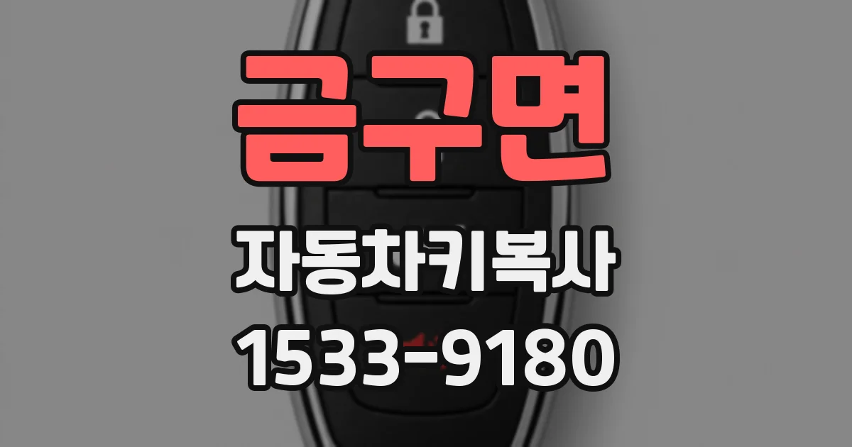 금구면 자동차키복사