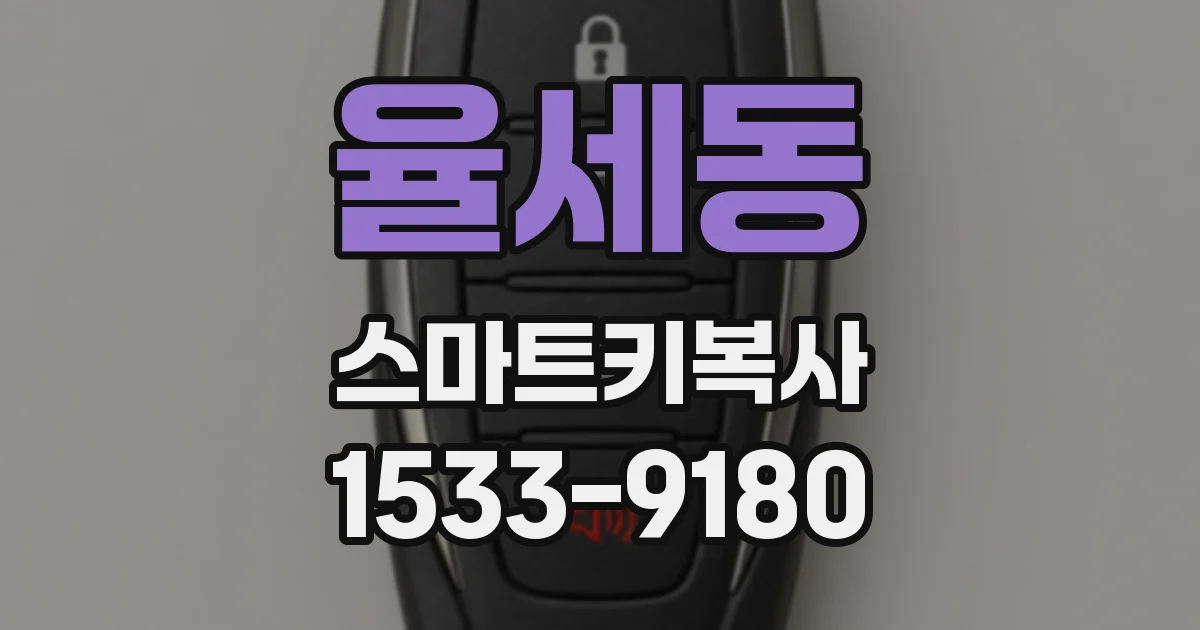 율세동 스마트키복사