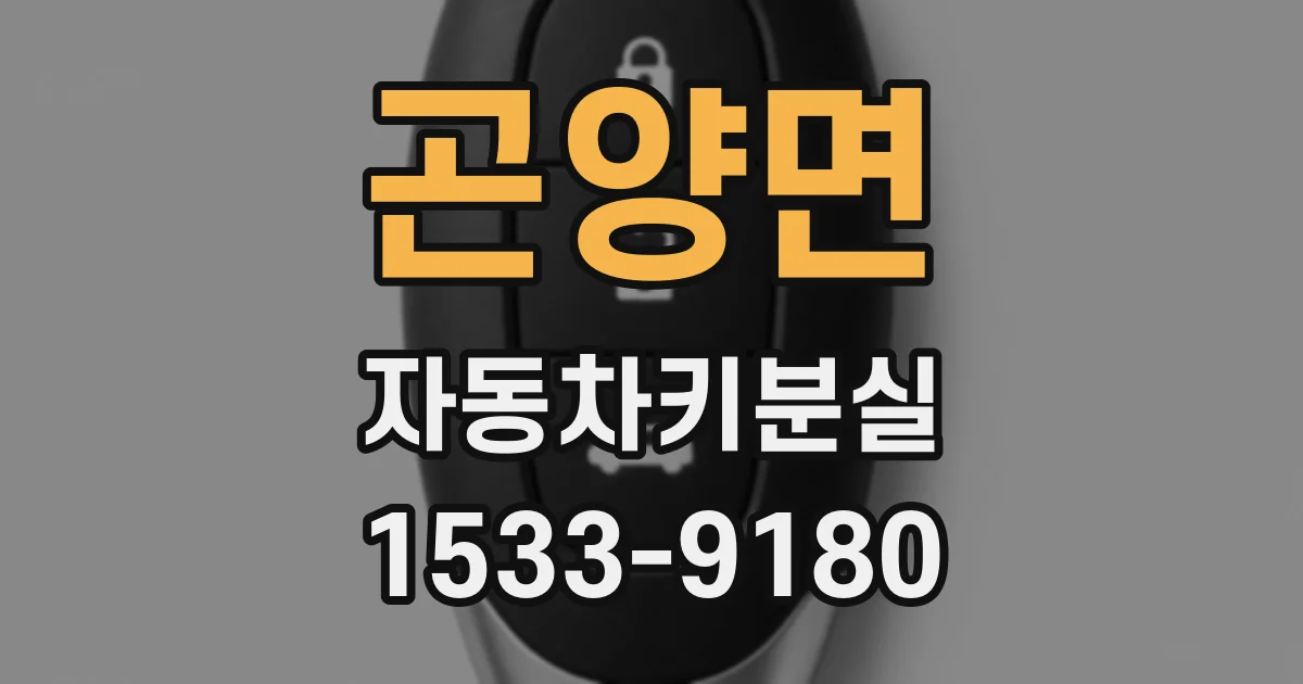 곤양면 자동차키분실