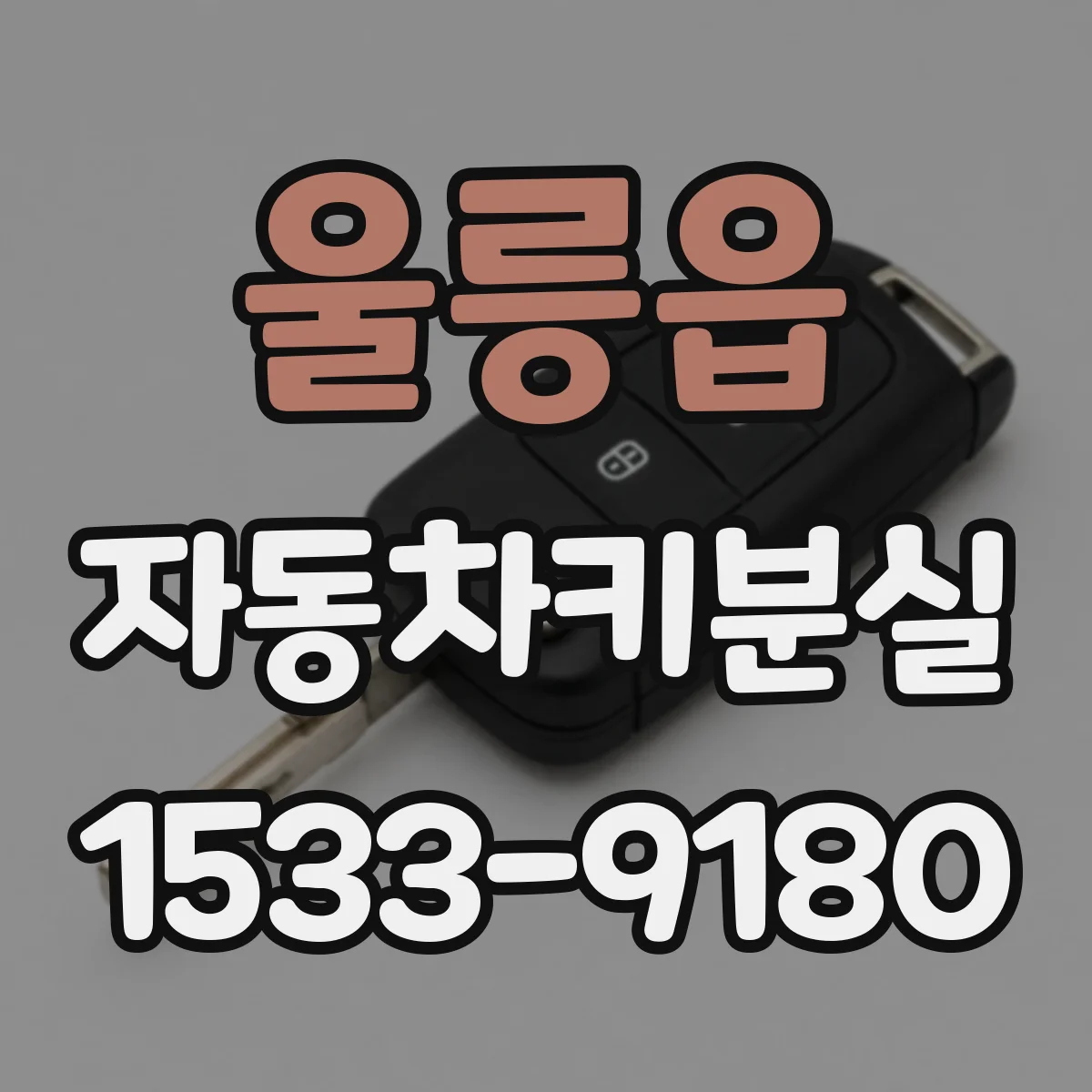 울릉읍 자동차키분실