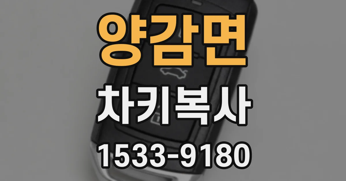 양감면 차키복사