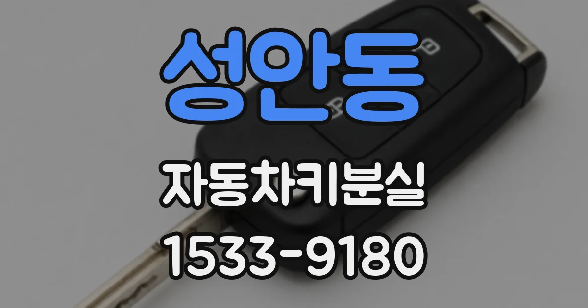 성안동 자동차키분실