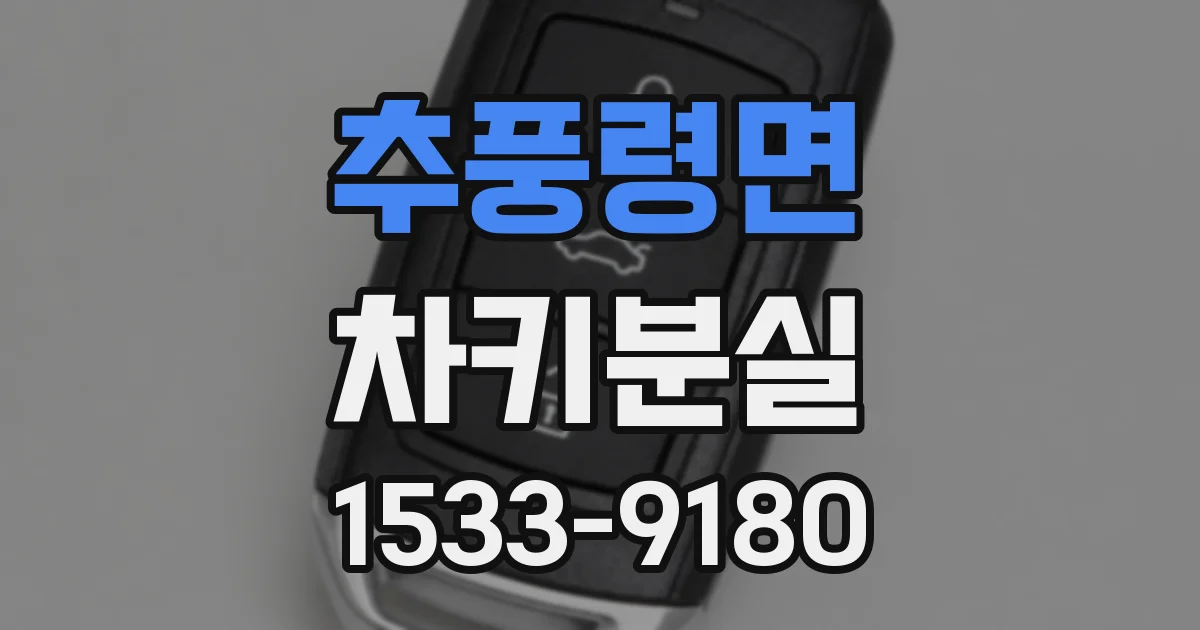 추풍령면 차키분실