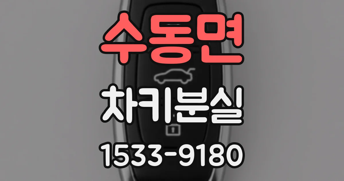 수동면 차키분실