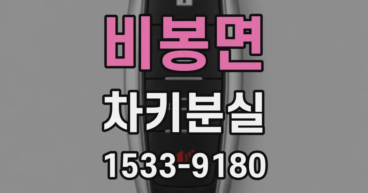 비봉면 차키분실