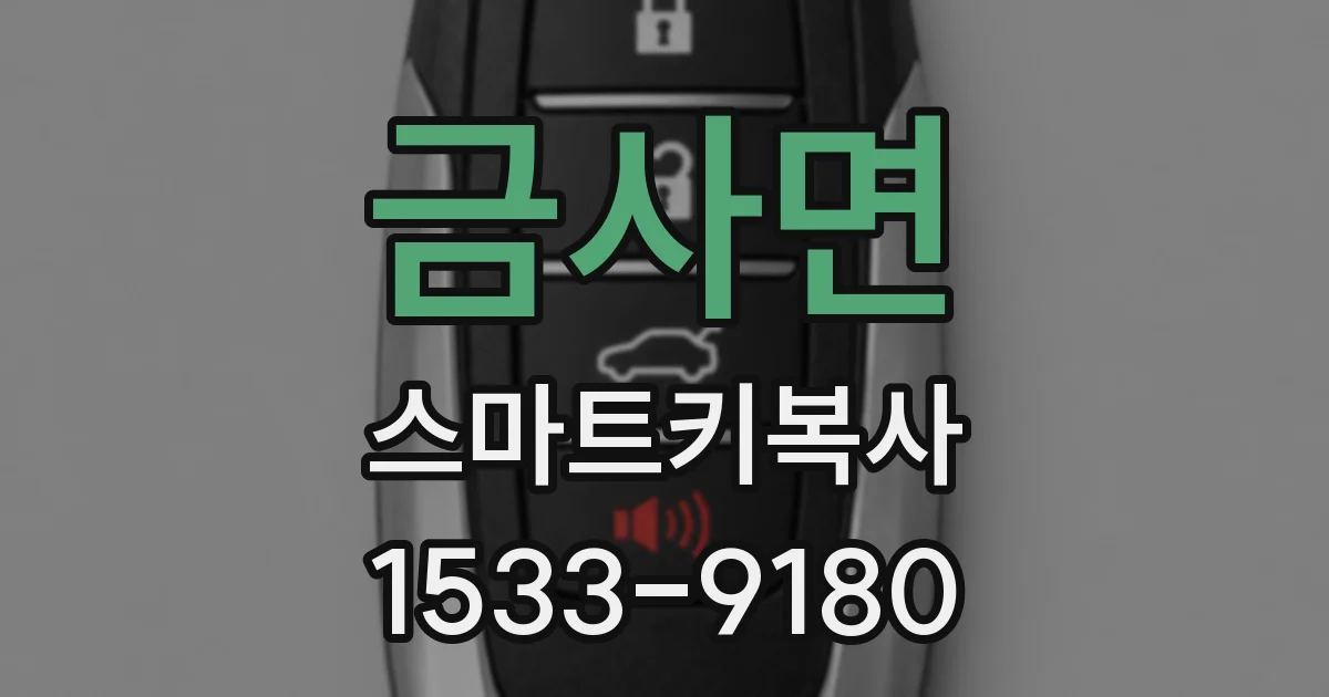 금사면 스마트키복사