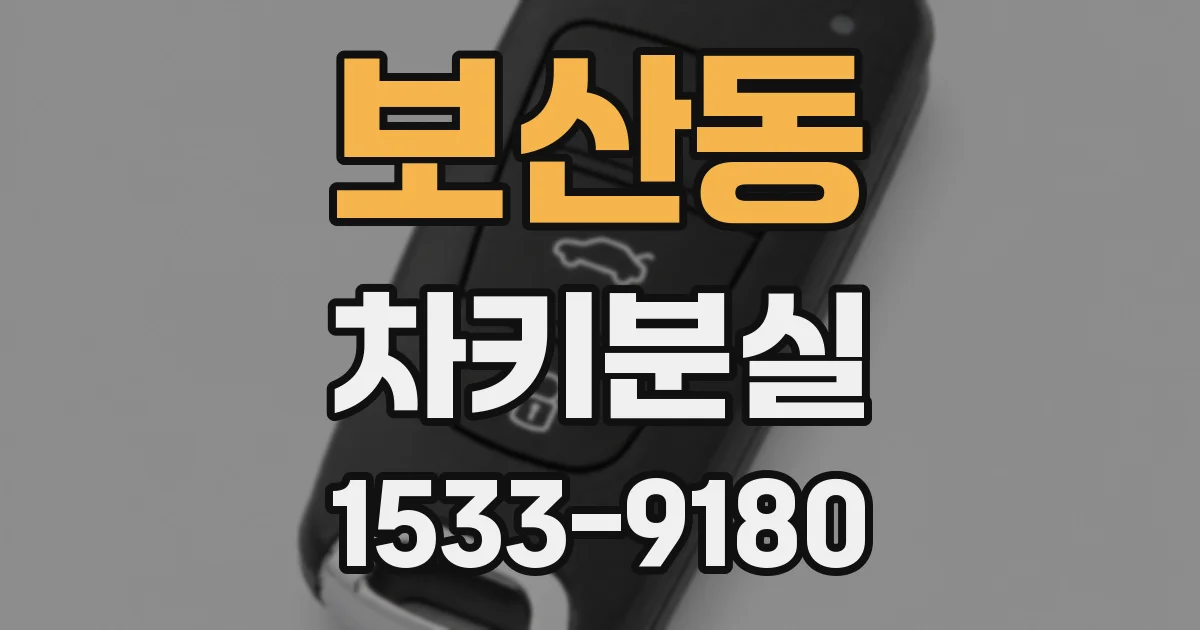 보산동 차키분실