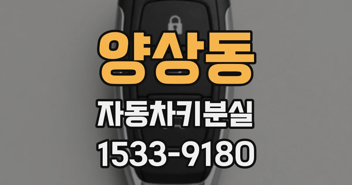 양상동 자동차키분실
