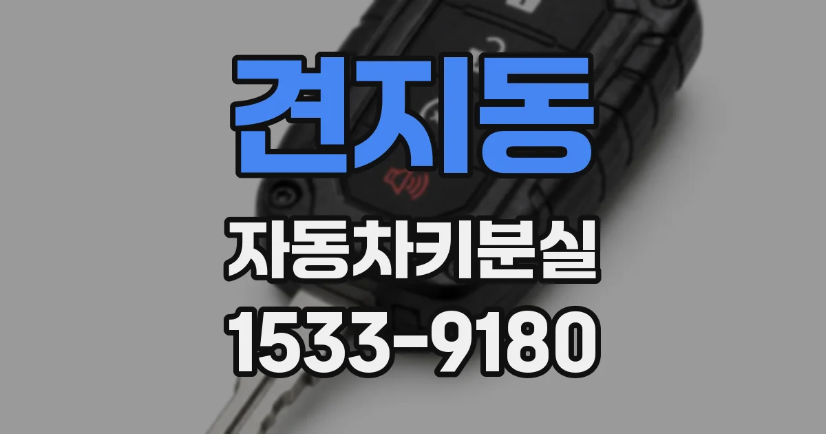 견지동 자동차키분실