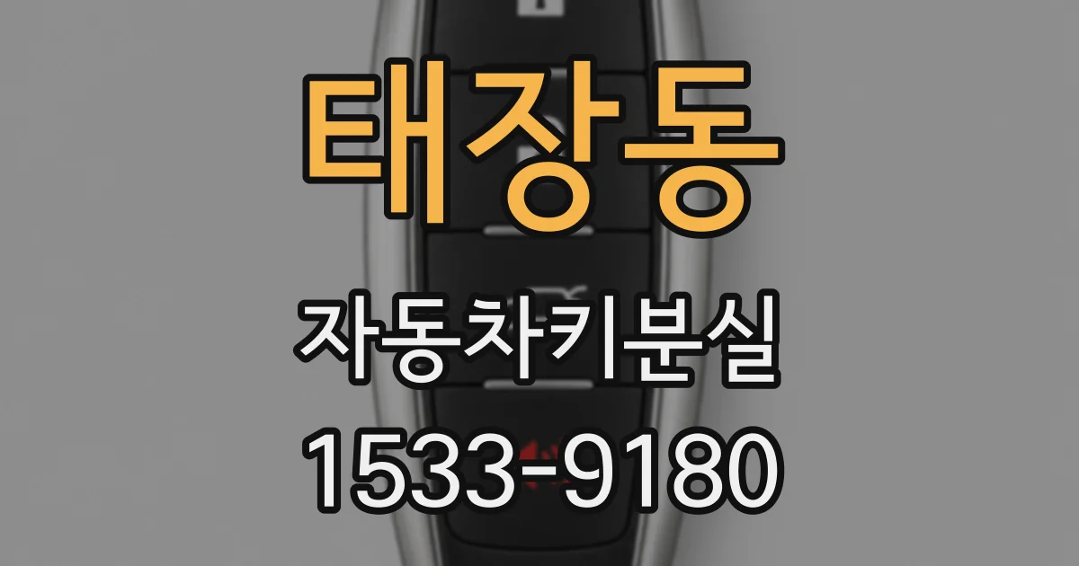 태장동 자동차키분실