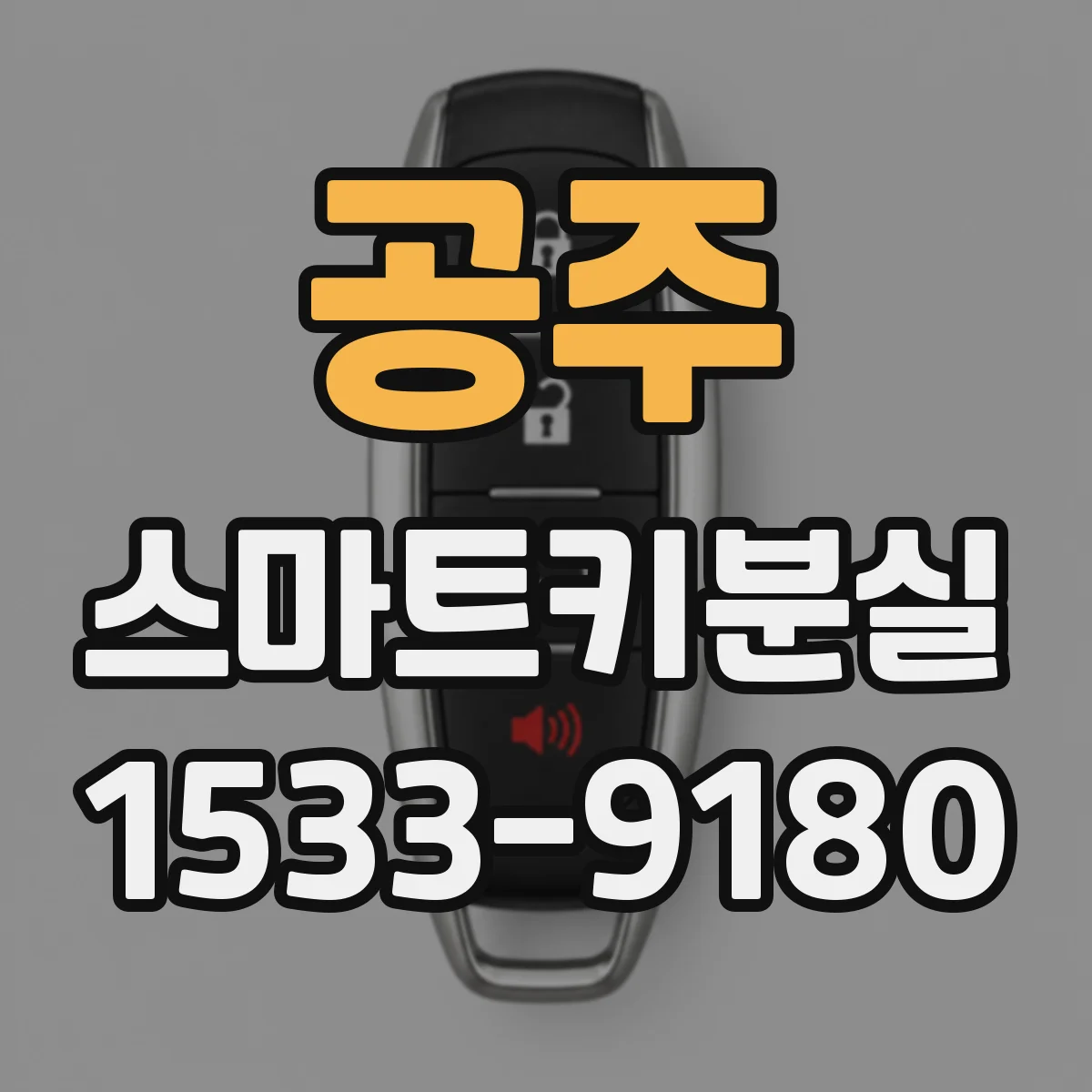 공주 스마트키분실