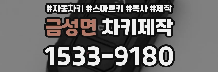 금성면 차키제작