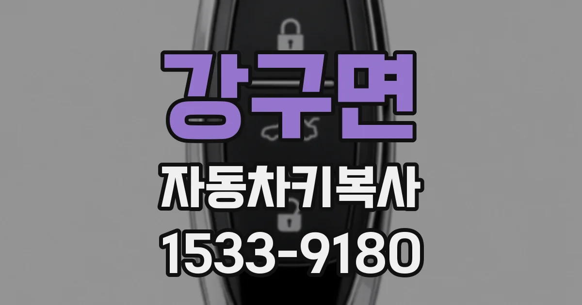 강구면 자동차키복사