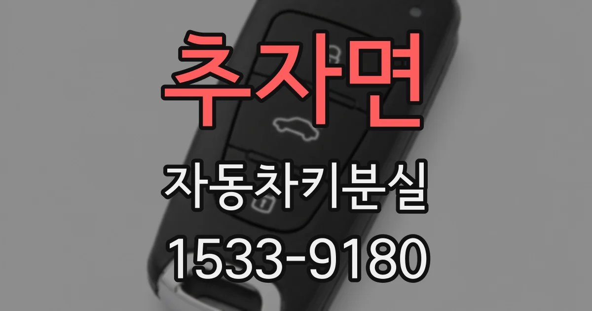 추자면 자동차키분실