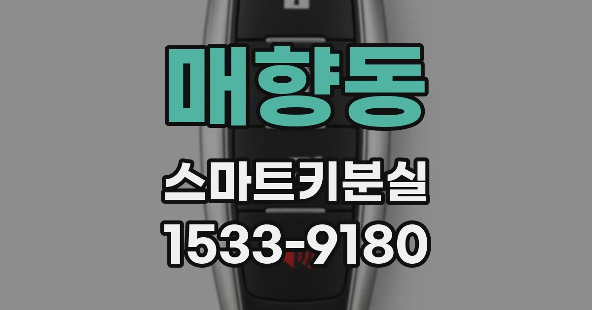 매향동 스마트키분실