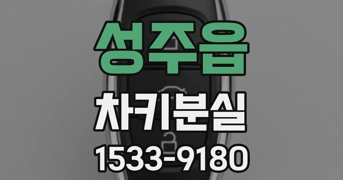 성주읍 차키분실
