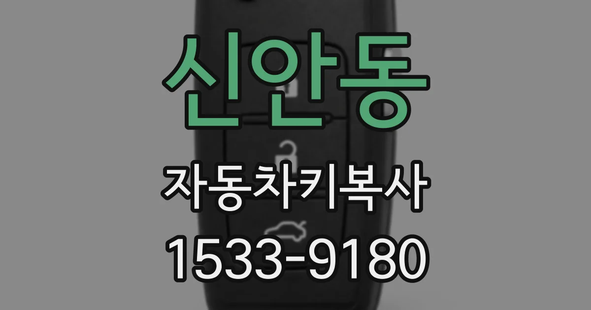신안동 자동차키복사