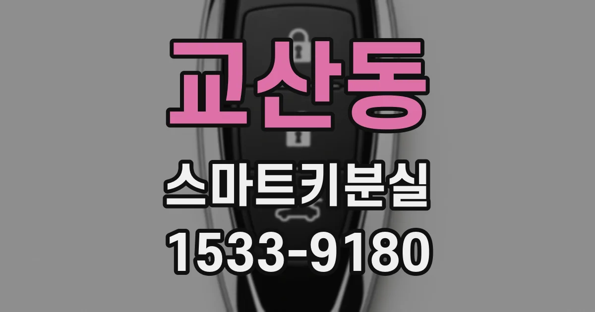 교산동 스마트키분실