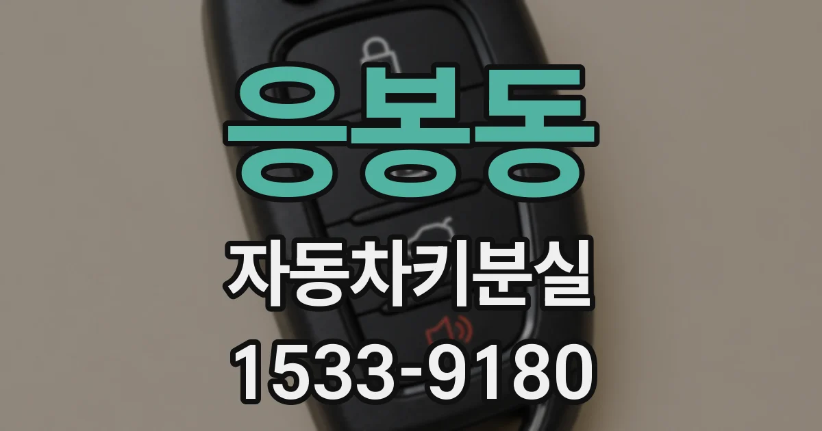 응봉동 자동차키분실