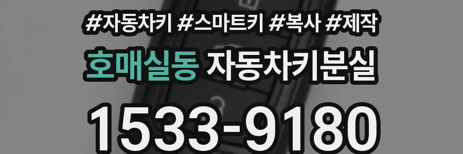 호매실동 자동차키분실