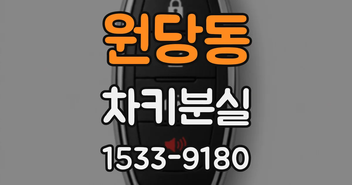 원당동 차키분실