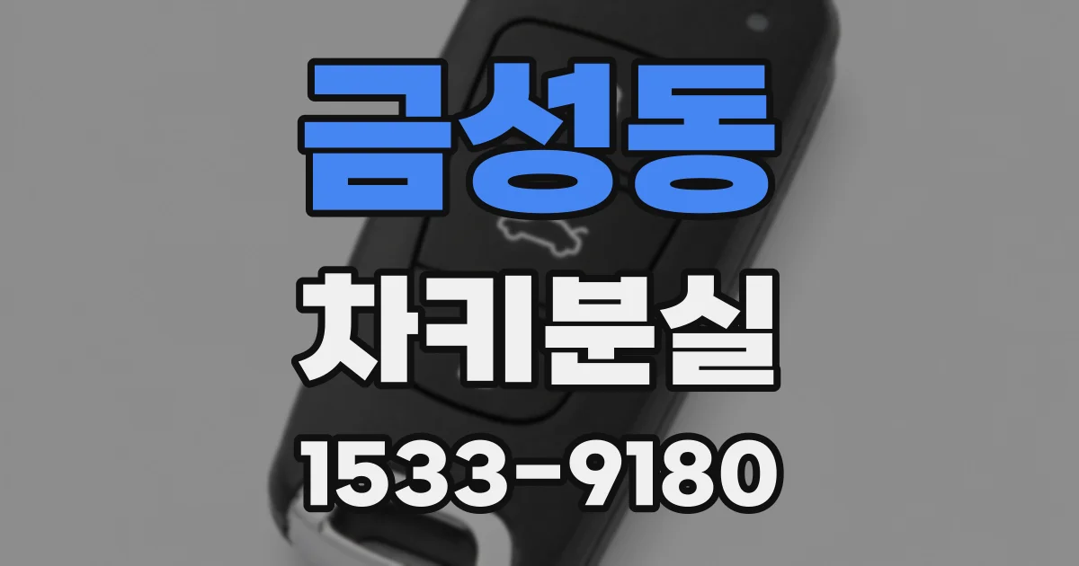 금성동 차키분실