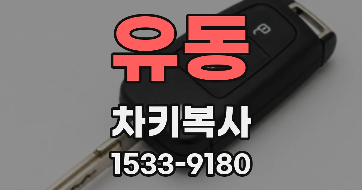 유동 차키복사