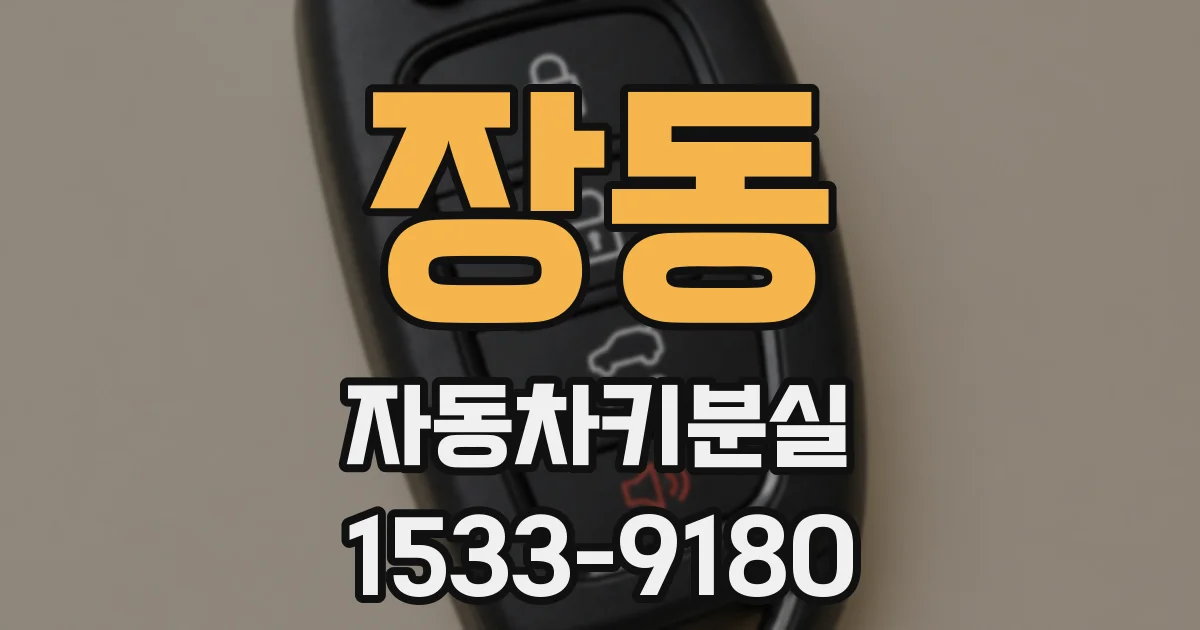 장동 자동차키분실