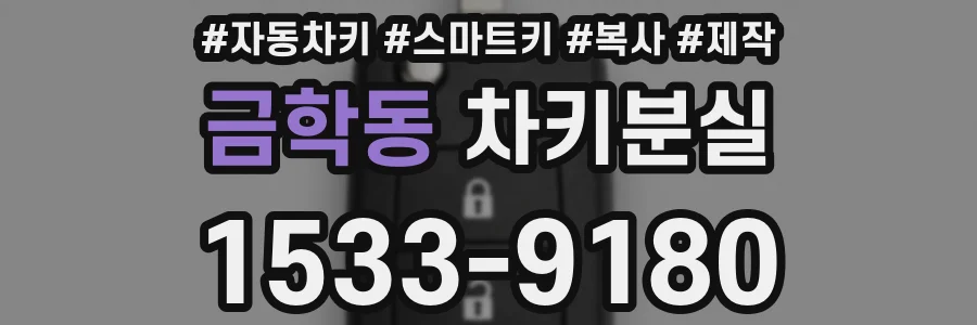 금학동 차키분실