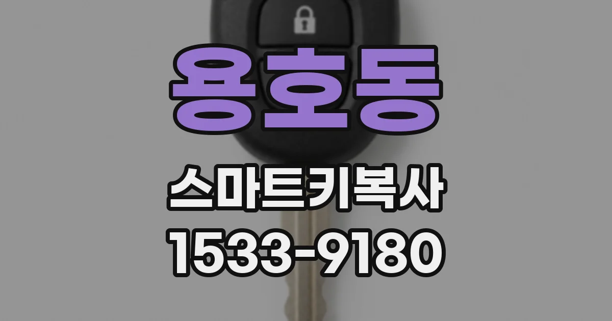 용호동 스마트키복사