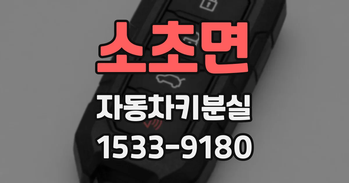 소초면 자동차키분실