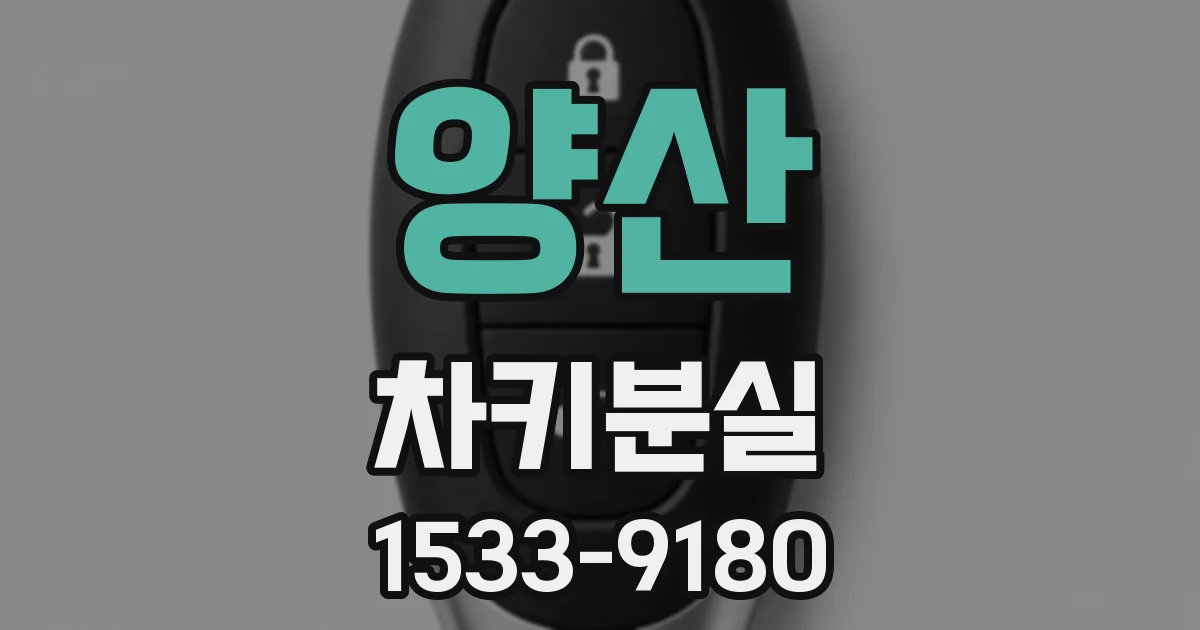 양산 차키분실
