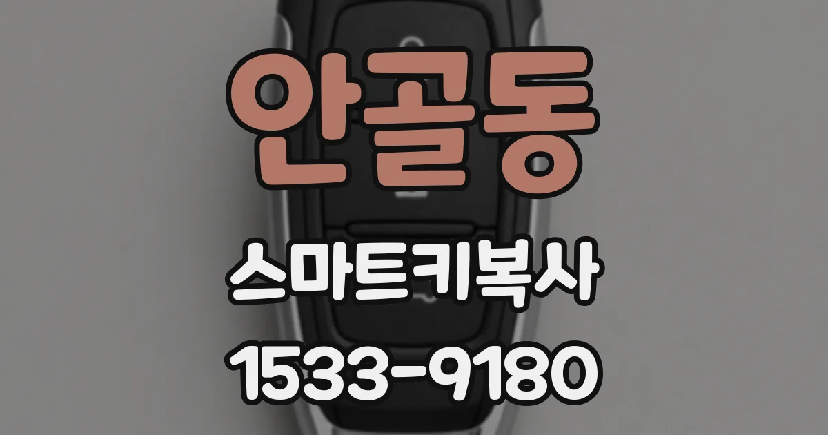 안골동 스마트키복사