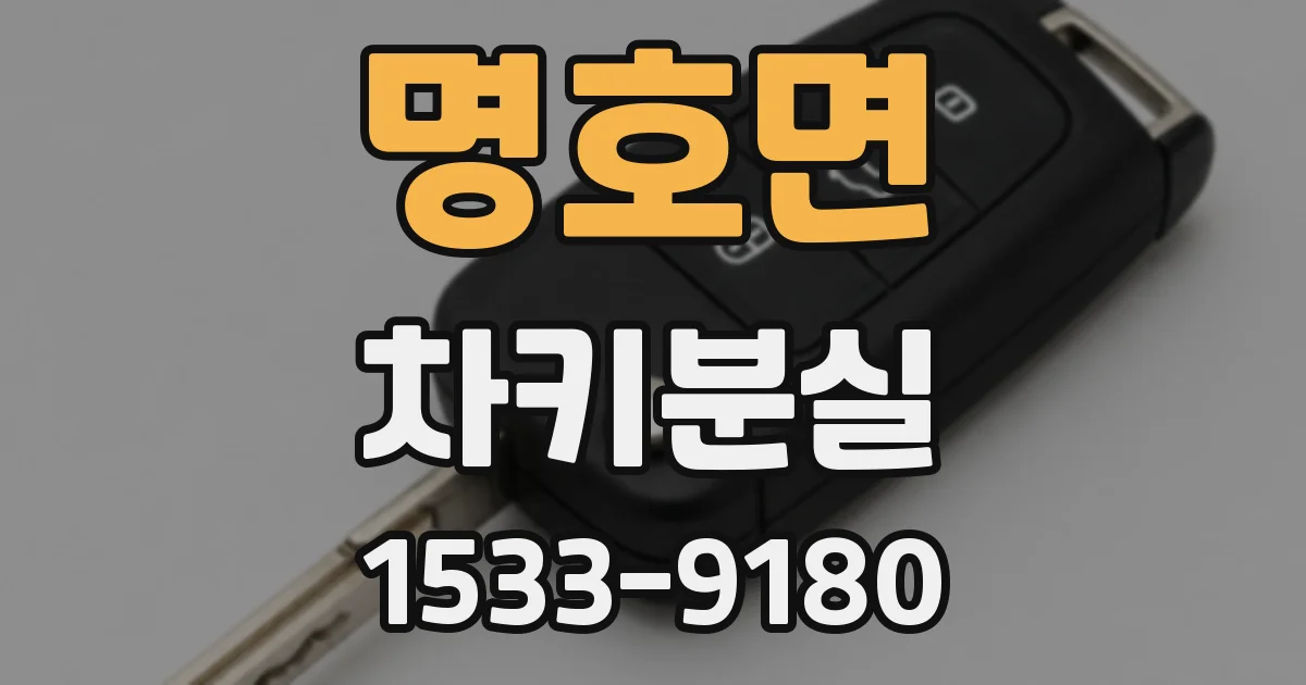 명호면 차키분실