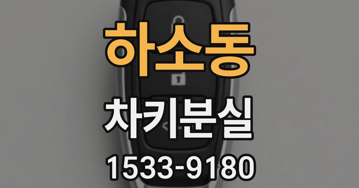 하소동 차키분실