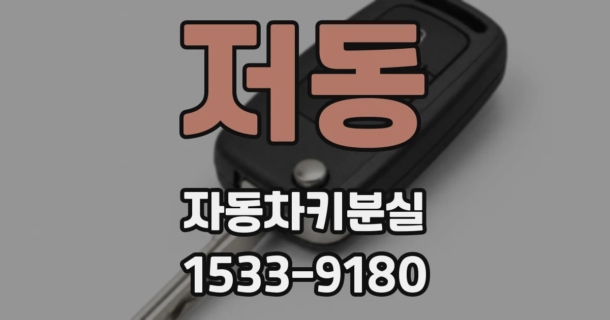 저동 자동차키분실