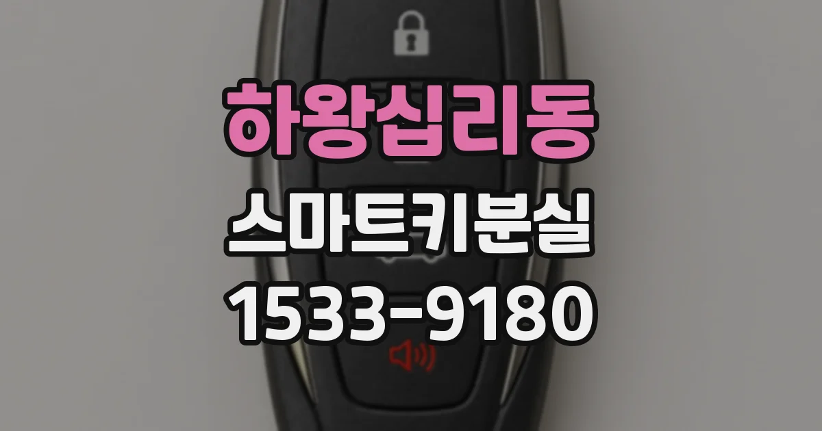하왕십리동 스마트키분실