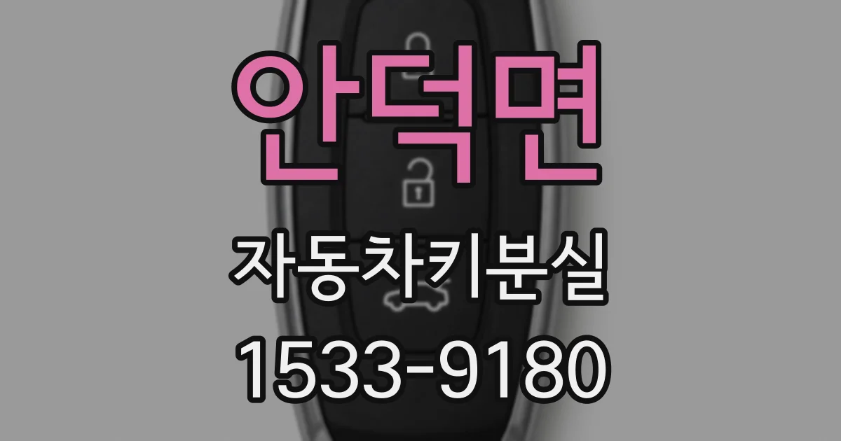 안덕면 자동차키분실
