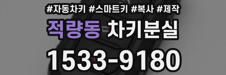 적량동 차키분실