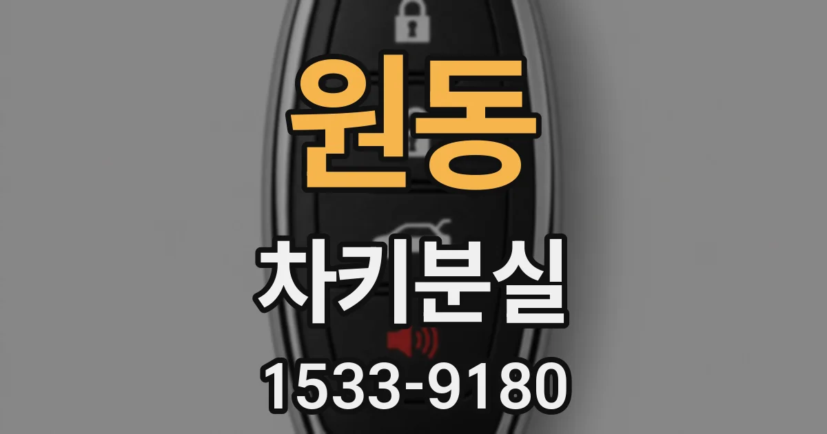 원동 차키분실