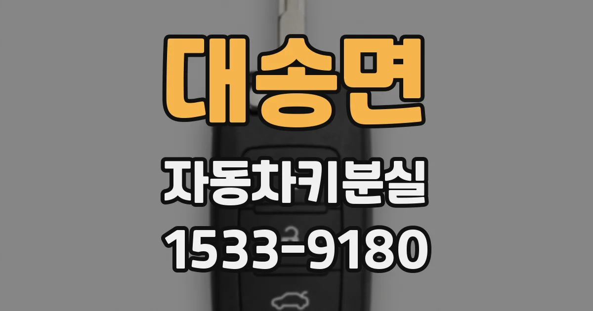 대송면 자동차키분실