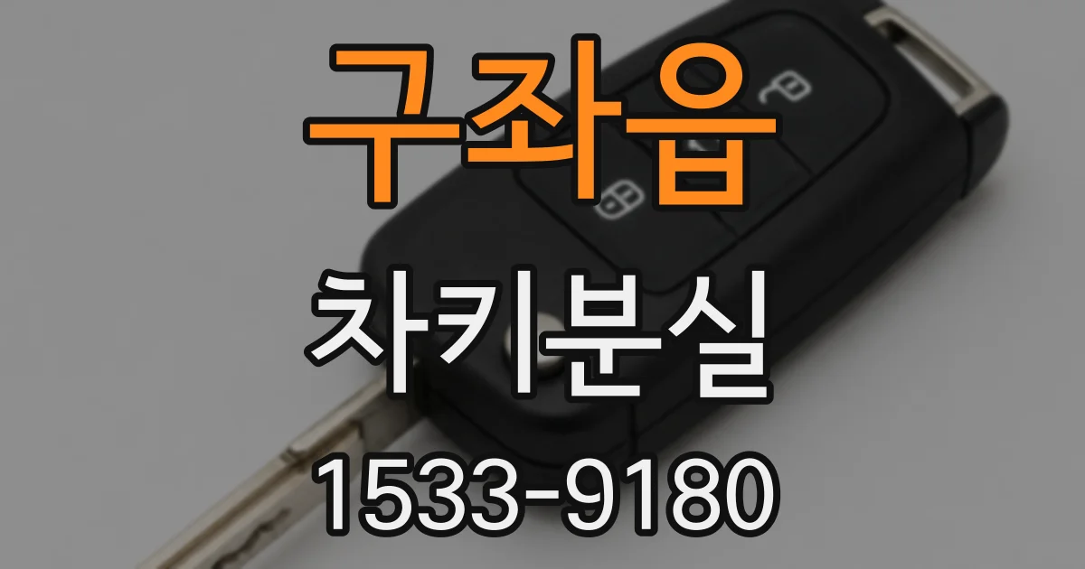 구좌읍 차키분실