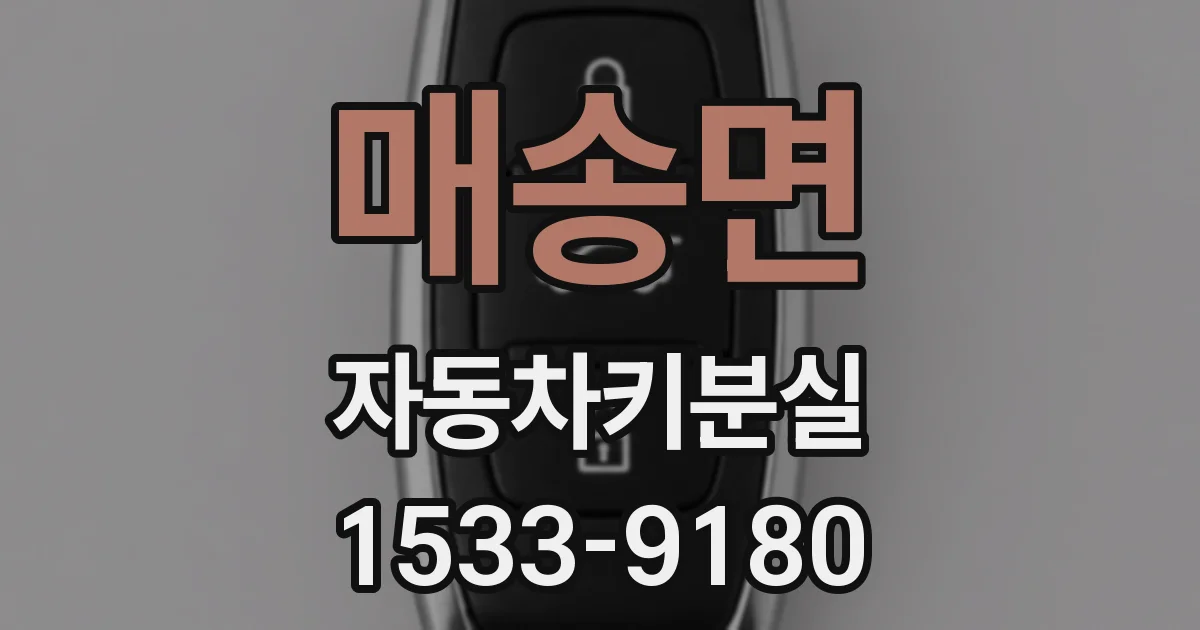 매송면 자동차키분실